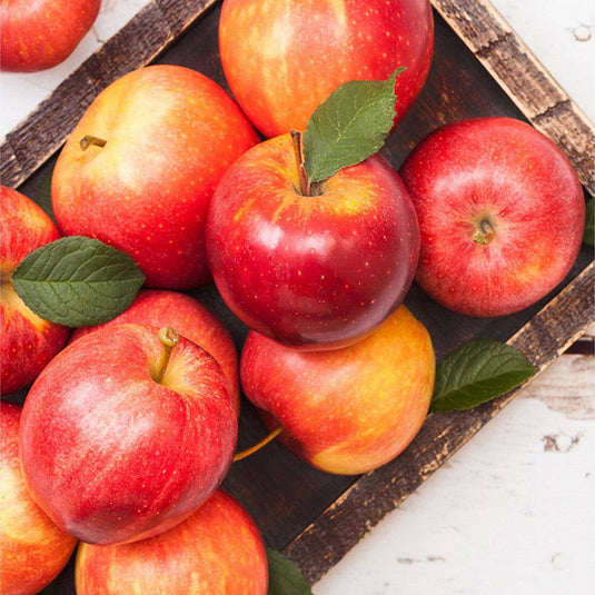 Royal Gala Apple 2kg - Veggie Fresh Papanui