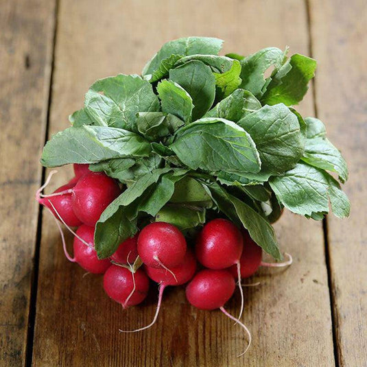 Radish PrePack Veggie Fresh Papanui