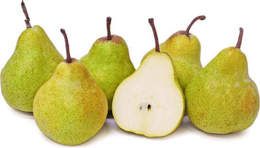Pear Packham Australian - Veggie Fresh Papanui
