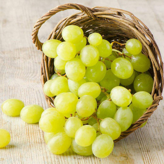 Grapes prepack - Veggie Fresh Papanui