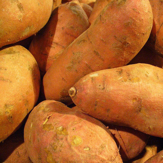 Gold Kumara - Veggie Fresh Papanui