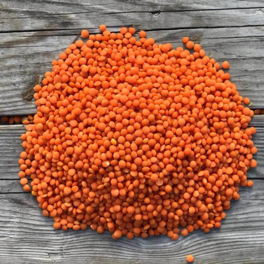 Masoor Dal Red Split - Veggie Fresh Papanui