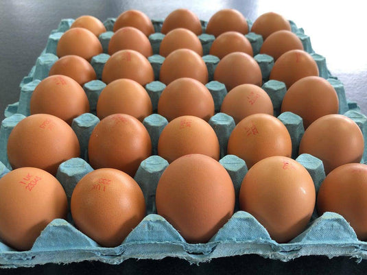 Free Range Eggs 30pk (Size 7&8) Veggie Fresh Papanui