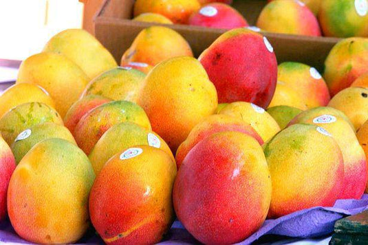 Peru Mango Veggie Fresh Papanui