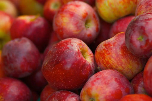 Braeburn Apples Veggie Fresh Papanui