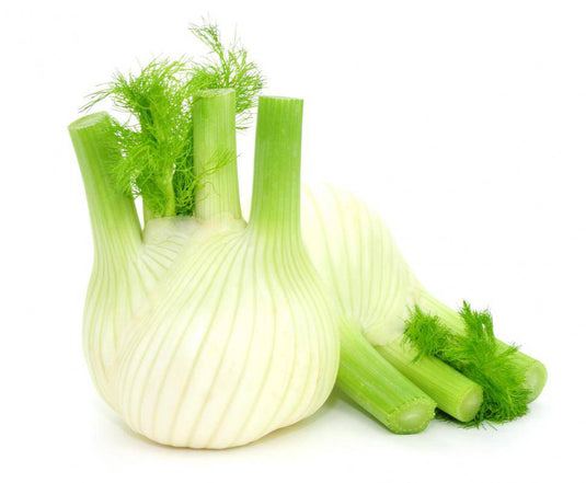 Fennel Bulb Veggie Fresh Papanui