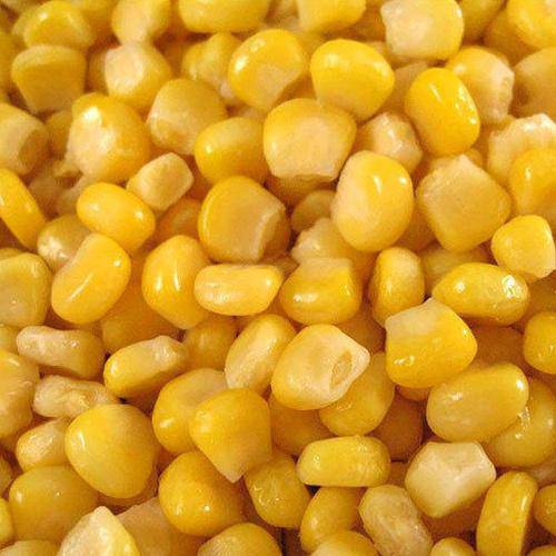 Sweet Corn - Veggie Fresh Papanui