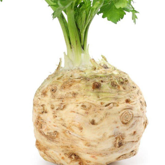 Celeriac - Veggie Fresh Papanui