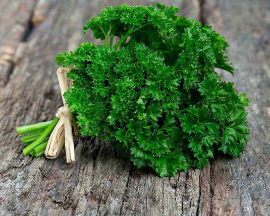 Parsley Bunch - Veggie Fresh Papanui