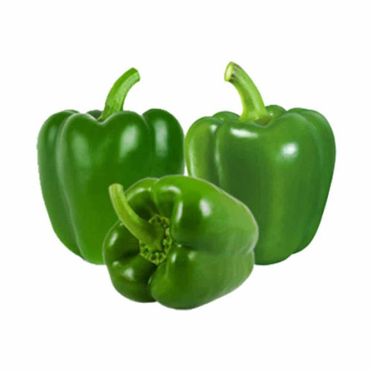Capsicum Green Veggie Fresh Papanui