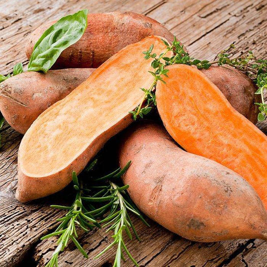Kumara Orange Jumbo Veggie Fresh Papanui