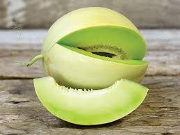 Honey Dew Melon