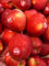 Sassy Red  Apple