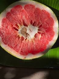 Pink Pomelo