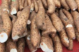 Chinese Yams