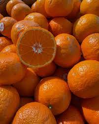 NZ Golden Nugget Mandarin