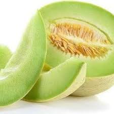 Honey Dew Melon