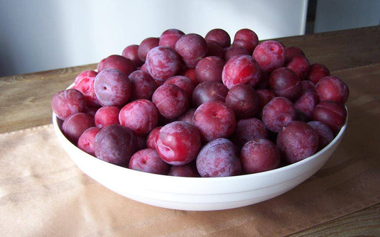plum - Veggie Fresh Papanui