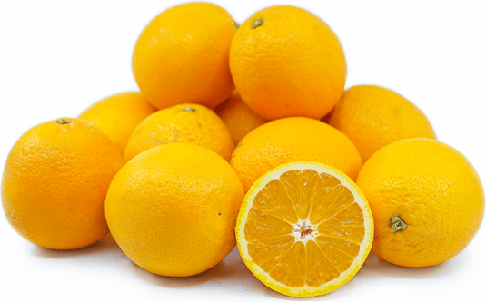 Oranges Valencia NZ Veggie Fresh Papanui