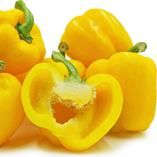 Capsicum Yellow - Veggie Fresh Papanui