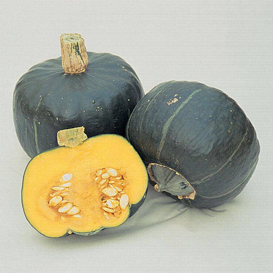 Pumkin Buttercup Veggie Fresh Papanui