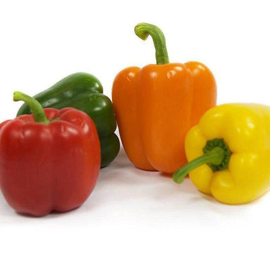 Capsicum Prepack Veggie Fresh Papanui