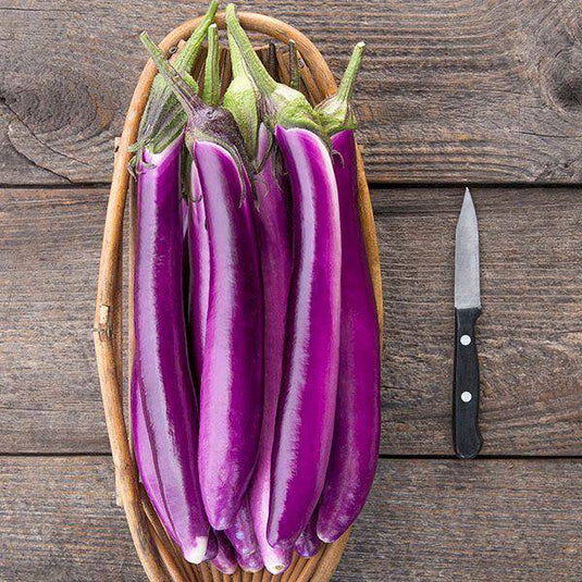 Long Eggplant Veggie Fresh Papanui