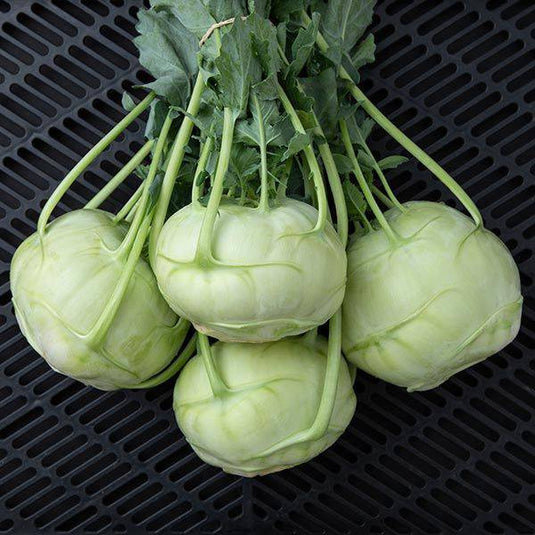 Kohlrabi - Veggie Fresh Papanui