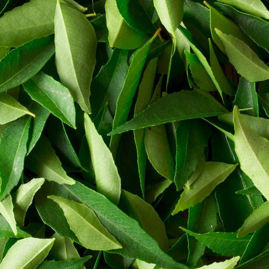 Curry Leaves Pack Veggie Fresh Papanui