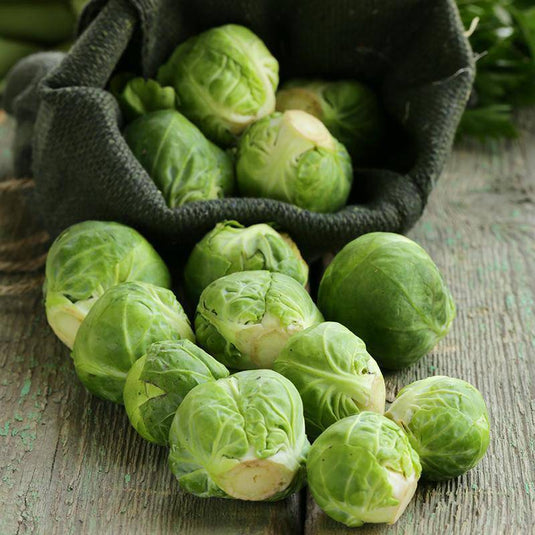 Brussel Sprouts Veggie Fresh Papanui