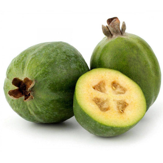 Feijoas Veggie Fresh Papanui