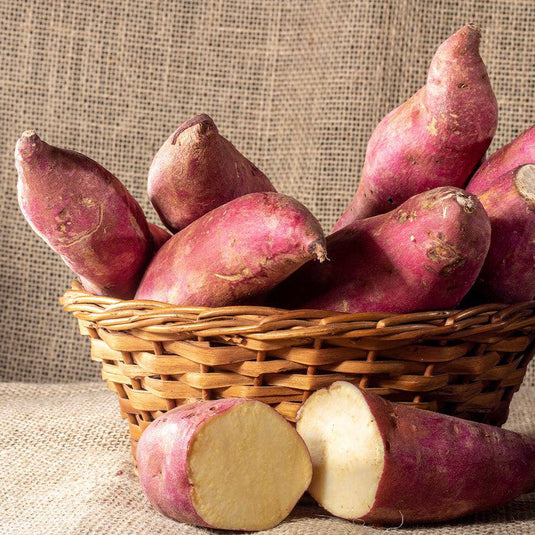 Kumara Red Jumbo Veggie Fresh Papanui