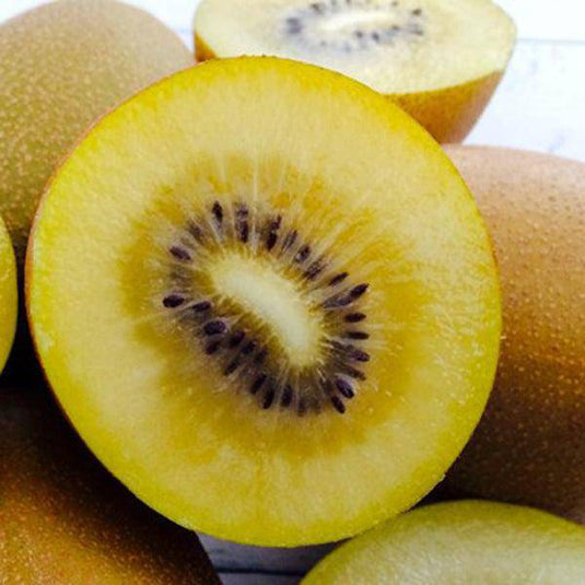 Kiwifruit Gold Veggie Fresh Papanui