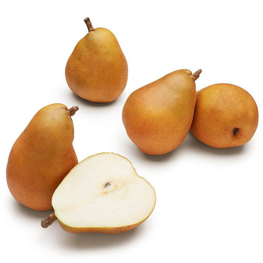 Pear Taylor Gold - Veggie Fresh Papanui