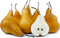 Pear Bosc