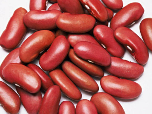 Kidney Beans Red - Veggie Fresh Papanui