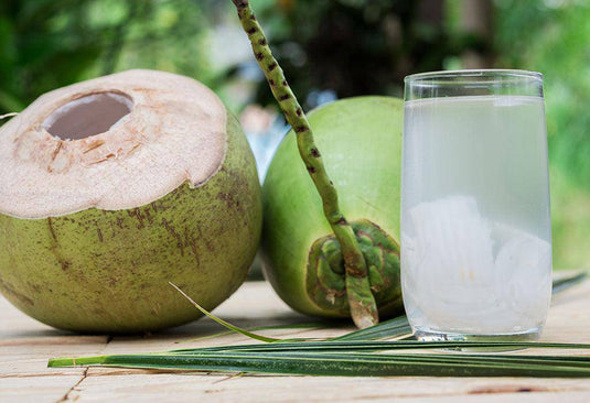 drinking coconut - Veggie Fresh Papanui