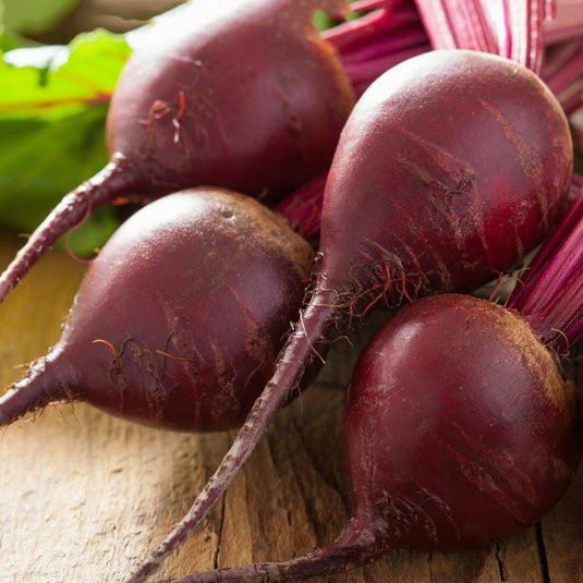 Beetroot - Veggie Fresh Papanui