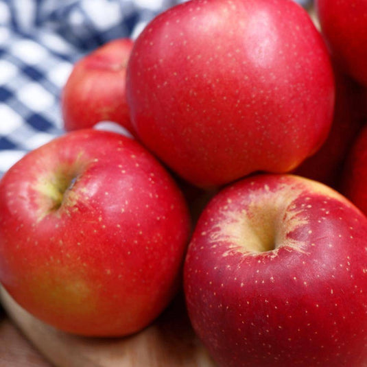 Nz Queen Apples - Veggie Fresh Papanui