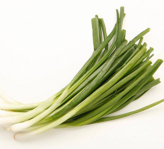 Spring Onions Veggie Fresh Papanui