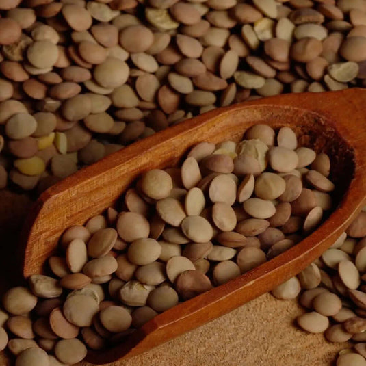 Brown Laird Lentils Veggie Fresh Papanui