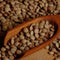 Brown Laird Lentils