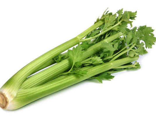 Celery Veggie Fresh Papanui