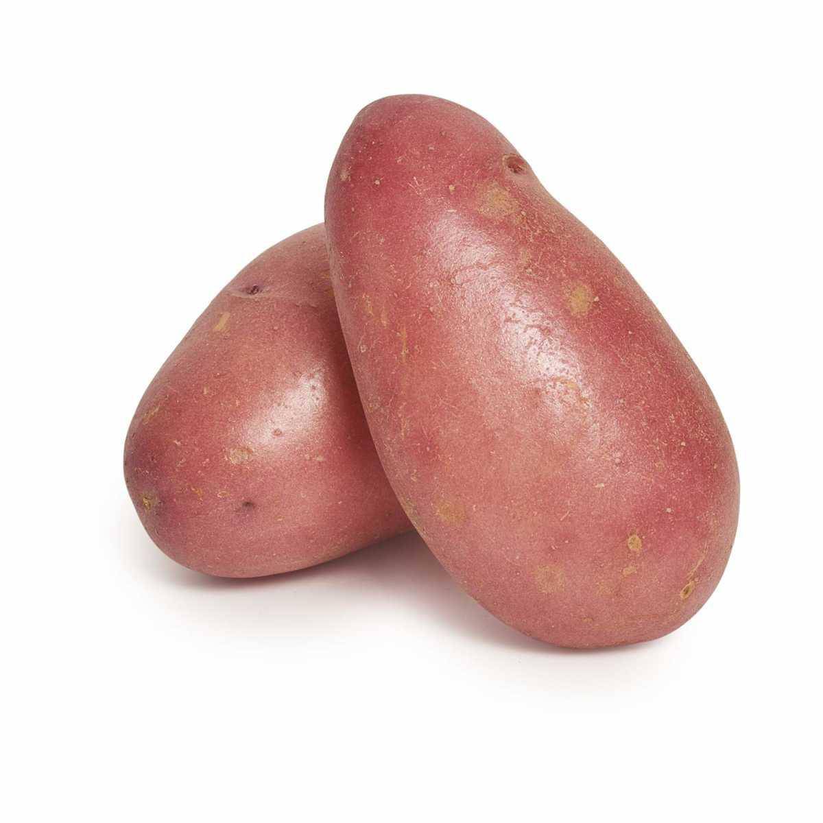 Luna Rosa Potato Van Rosa Potato | Veggie Fresh Papanui