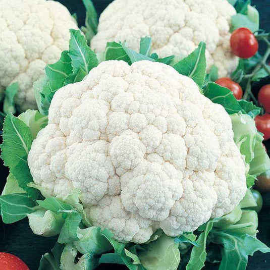 Cauliflower Veggie Fresh Papanui