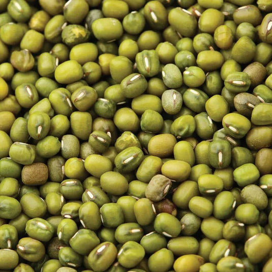 Green Mung Beans Veggie Fresh Papanui