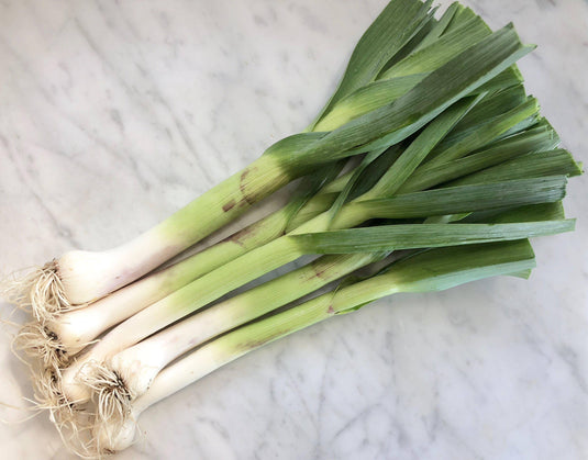 Leek - Veggie Fresh Papanui