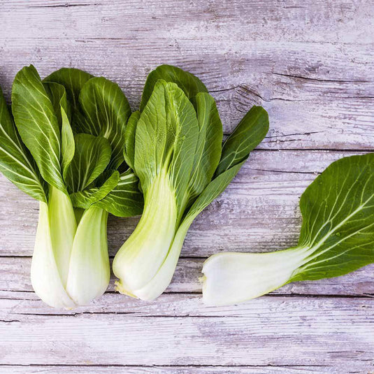 Pak Choy - Veggie Fresh Papanui