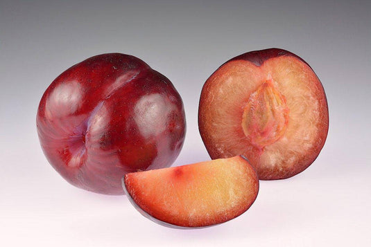 plum - Veggie Fresh Papanui