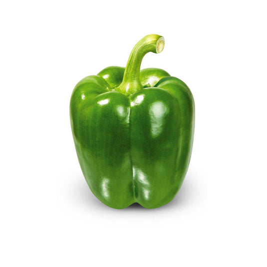 Capsicum Green Veggie Fresh Papanui